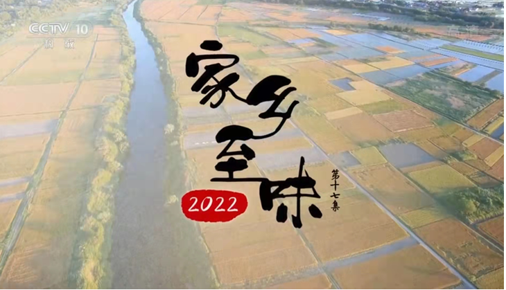 2024年12月 第86页