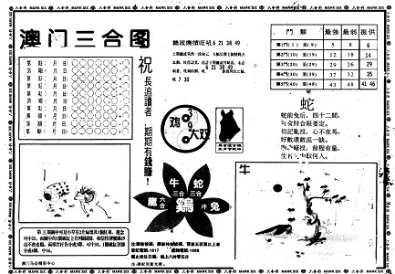 王中王493333中特1肖,王中王493333中特1肖的魅力与探索