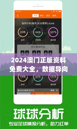 新澳2024正版免费资料,新澳2024正版免费资料，探索与解析