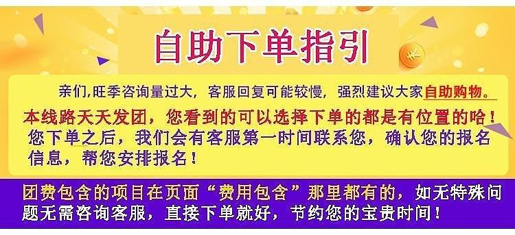 2004澳门天天开好彩大全,澳门天天开好彩，背后的真相与警示