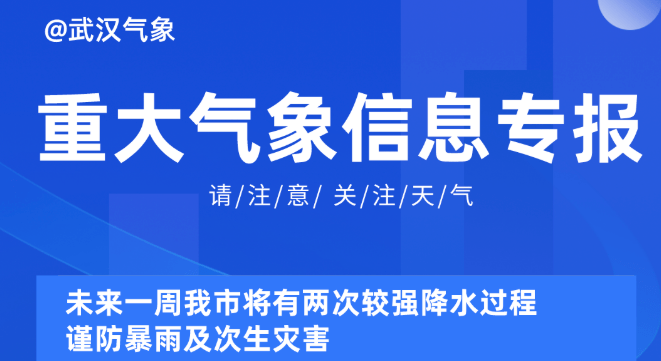 新奥精准资料免费提供510期,新奥精准资料免费提供510期，深度解析与前瞻性预测