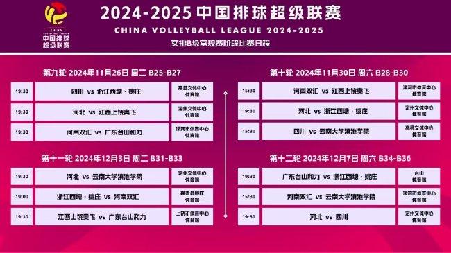 2025正版资料大全好彩网,探索未来，2025正版资料大全与好彩网的前瞻性展望