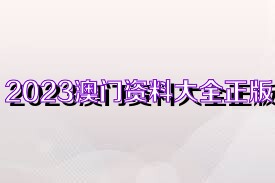 2023澳门正版全年免费资料043期 09-22-13-28-40-34T：35,探索澳门正版彩票资料，2023年全新免费资料解析（第043期）